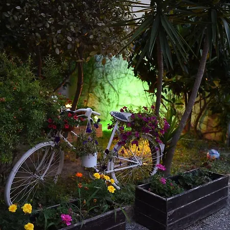 Pelli פפקוהורי