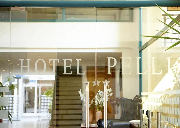 Hotel Pelli Pefkochori